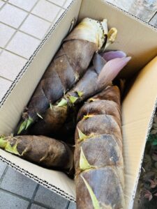 皮付き筍